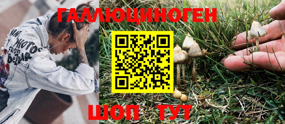 Лангепас  Галлюциногенные грибы Psilocybine cubensis  наркота  Вход с VPN  Галлюциногенные грибы GOLDEN TEACHER 
